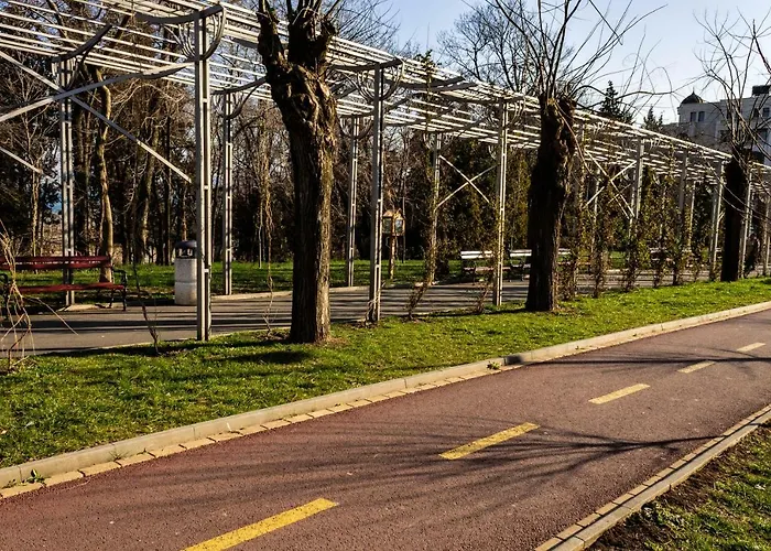 New Star * بورغاس